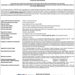 Laboratorios Vincenti | Oferta Pública de Papeles Comerciales al Portador Emisiones 2022-VII y 2022-VIII Serie-III Miniatura