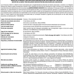 2022 Aviso de Prensa Serie-V Vincenti Emisión 2022-V y VI Express Miniatura