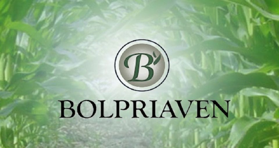 Bolpriaven