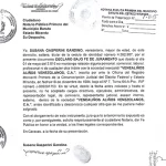 Declaración Jurada Susana Gasperini