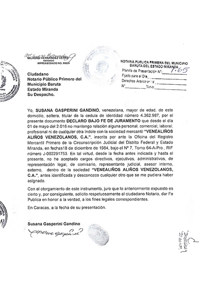 Declaración Jurada Susana Gasperini