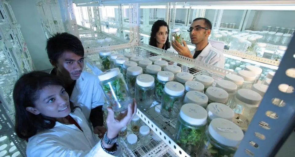 Innovación empresas