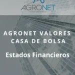 AGRONET Valores Casa de Bolsa | Estados Financieros Auditados al 31 de diciembre de 2024