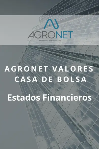 AGRONET Valores Casa de Bolsa | Estados Financieros Auditados al 31 de diciembre de 2024