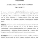 Portada Eleva Valor, C.A. | Convocatoria Asamblea General Ordinaria de Accionistas #31Mar 2025