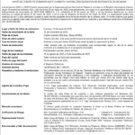 Portada Montana Gráfica | Oferta Pública de Papeles Comerciales Emisiones 2025-I y 2025-II. Serie I