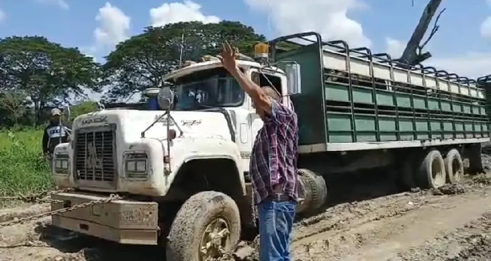 Fedecámaras Portuguesa