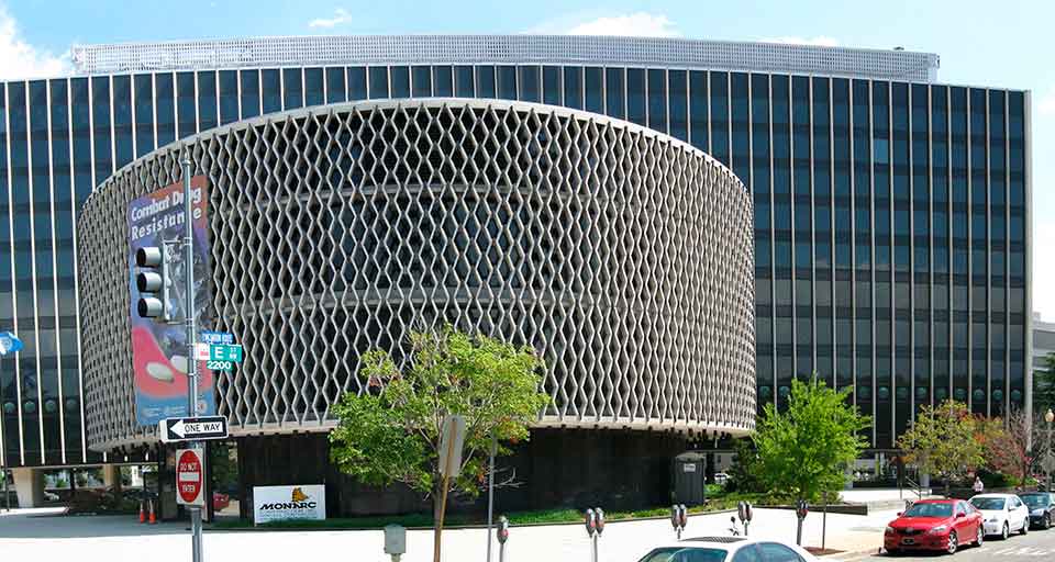 Organización Panamericana de la Salud (OPS)